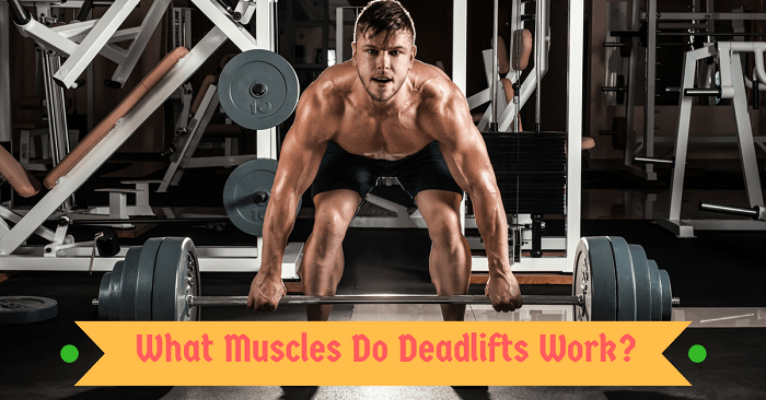 Blacklisted Confessions: What Muscles Do Deadlifts Work?