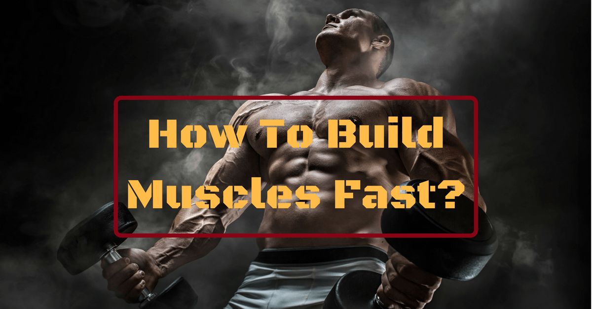 How To Build Muscles Fast? Deeper Understanding for Maximum Results ...