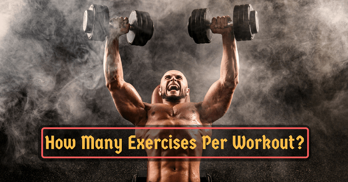 How Many Exercises Per Workout? Efficiently Maximize Your Muscle Gains!