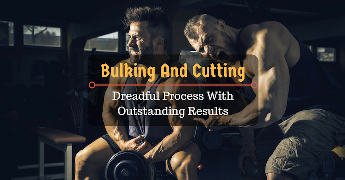 Bulking And Cutting: Dreadful Process With Outstanding Results